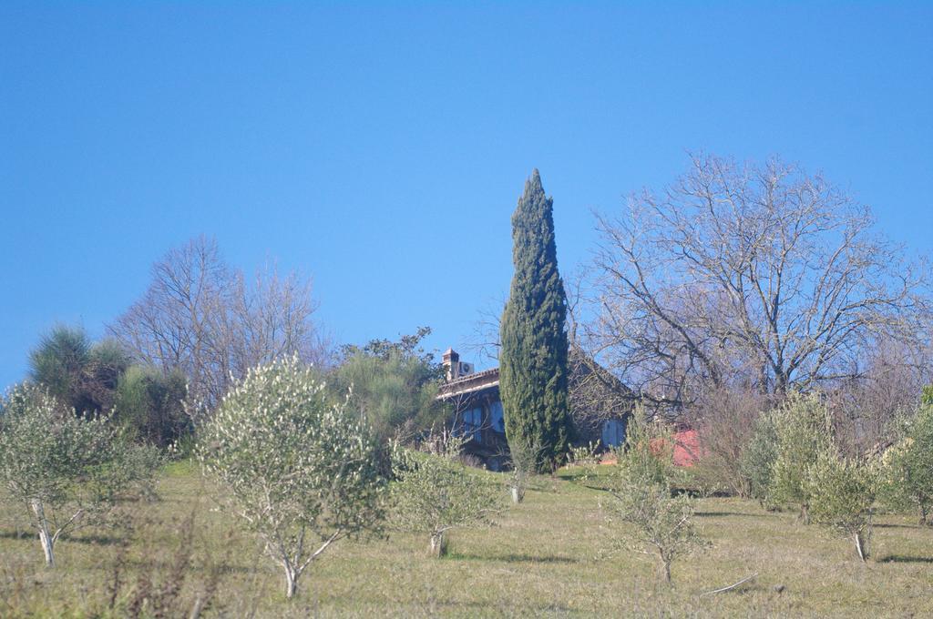 梅代萨诺La Casa Sopra Le Nuvole别墅 外观 照片